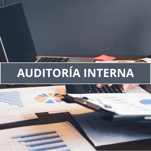 Foto con texto "AUDITORÍA INTERNA"